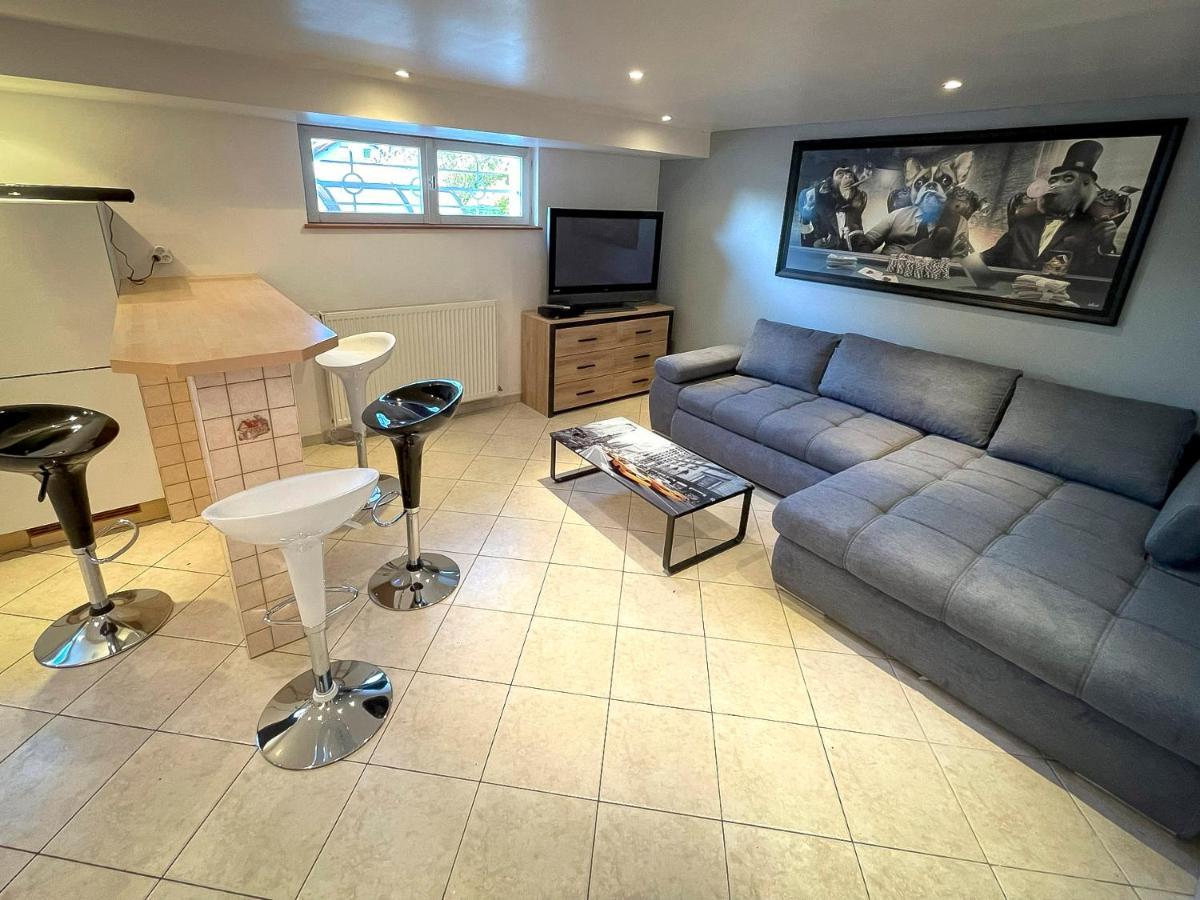 Villa 250m2 avec PISCINE chauffée&SPA&kota-grill&sauna Saint-Die-des-Vosges Exterior foto